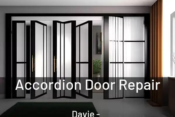  Accordion Door Repair Davie - FL