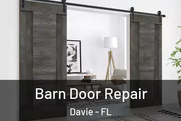  Barn Door Repair Davie - FL
