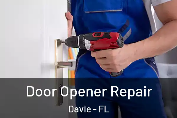  Door Opener Repair Davie - FL