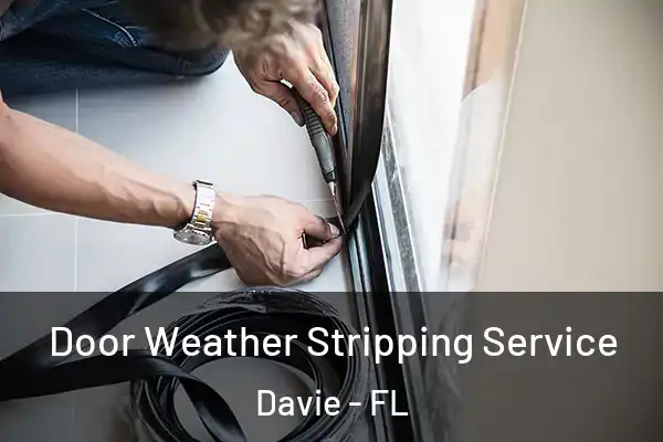 Door Weather Stripping Service Davie - FL
