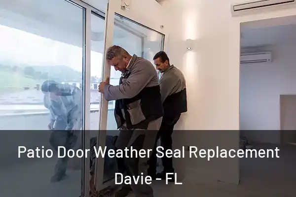 Patio Door Weather Seal Replacement Davie - FL