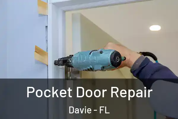  Pocket Door Repair Davie - FL
