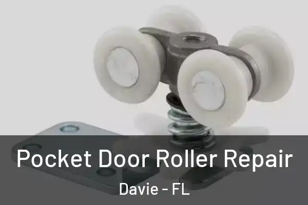  Pocket Door Roller Repair Davie - FL