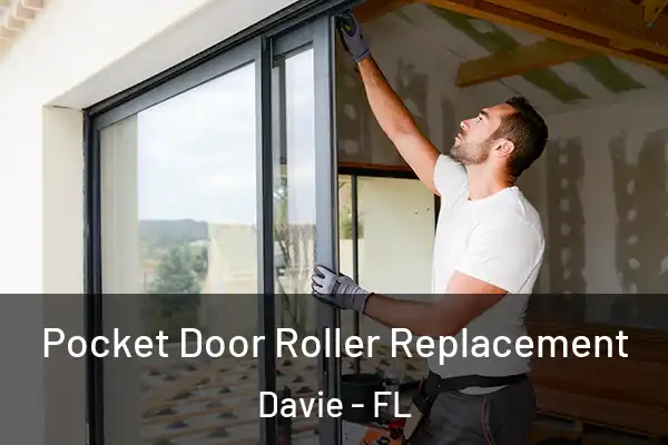  Pocket Door Roller Replacement Davie - FL