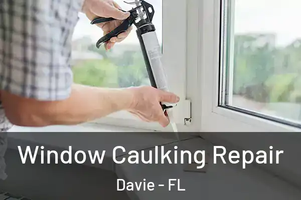  Window Caulking Repair Davie - FL